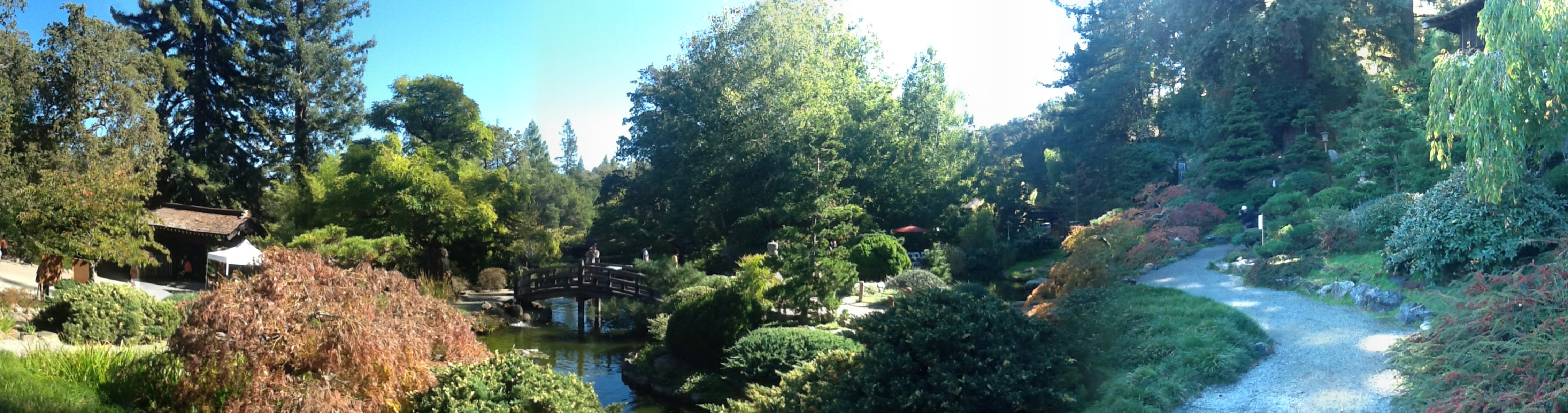 photo of Hakone Gardens